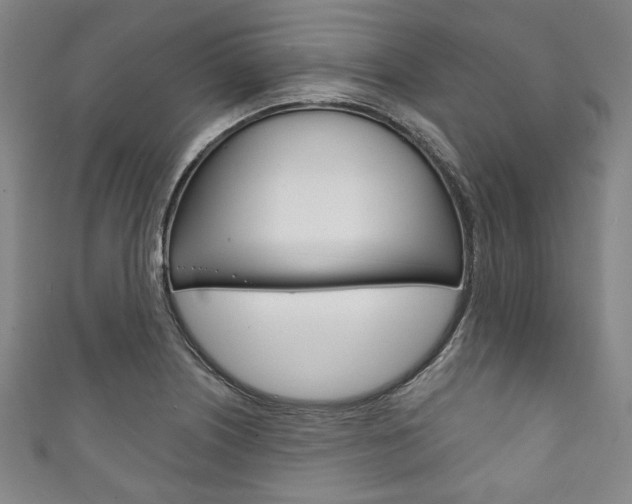X0000111831226200907231015