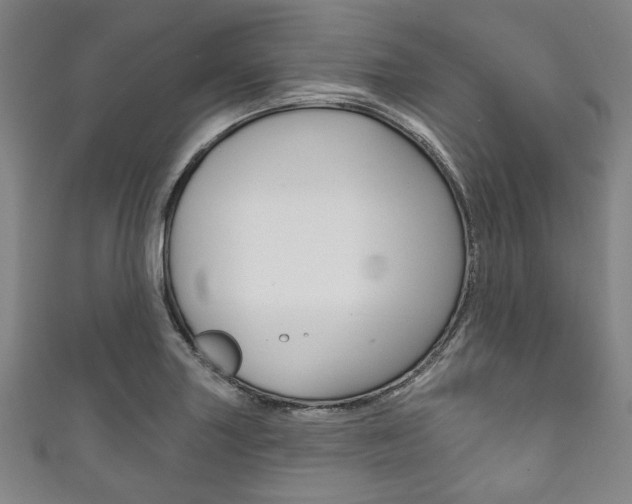 X0000111831227200907231015