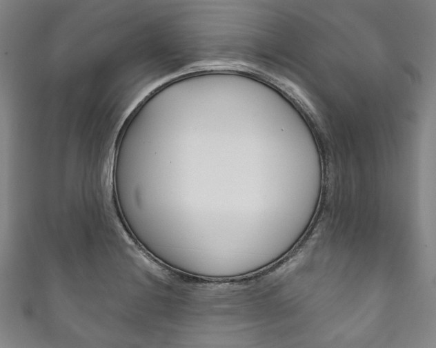 X0000111831228200907231015