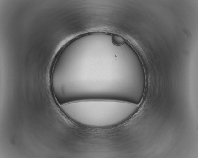 X0000111831230200907231015
