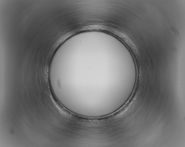 X0000111831233200907231016