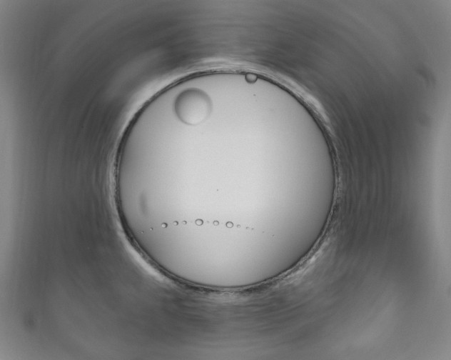 X0000111831239200907231016