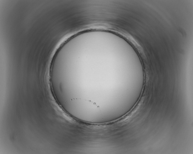 X0000111831240200907231016