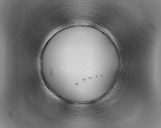 X0000111831243200907231016