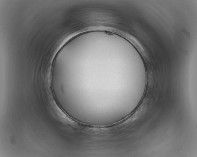 X0000111831244200907231016