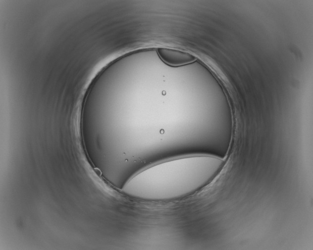 X0000111831246200907231016