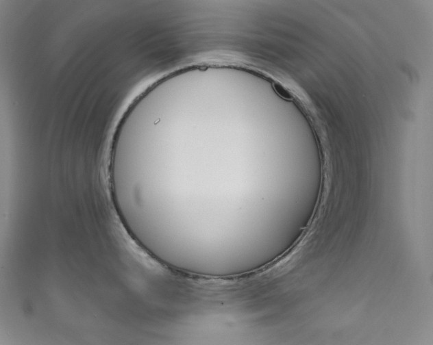 X0000111831248200907231016