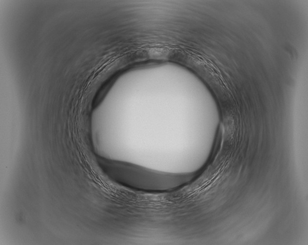 X0000111831249200907231015