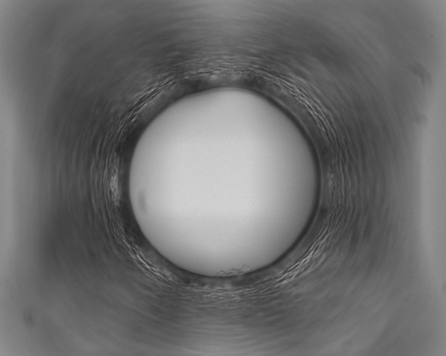 X0000111831250200907231015