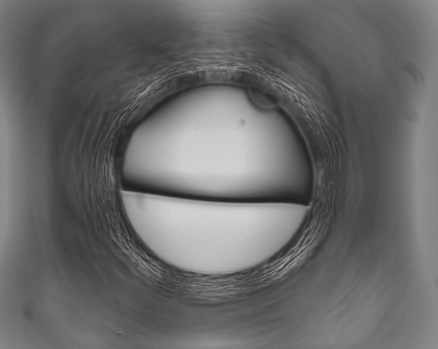X0000111831252200907231015