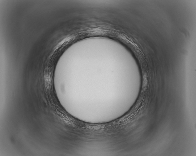X0000111831254200907231015