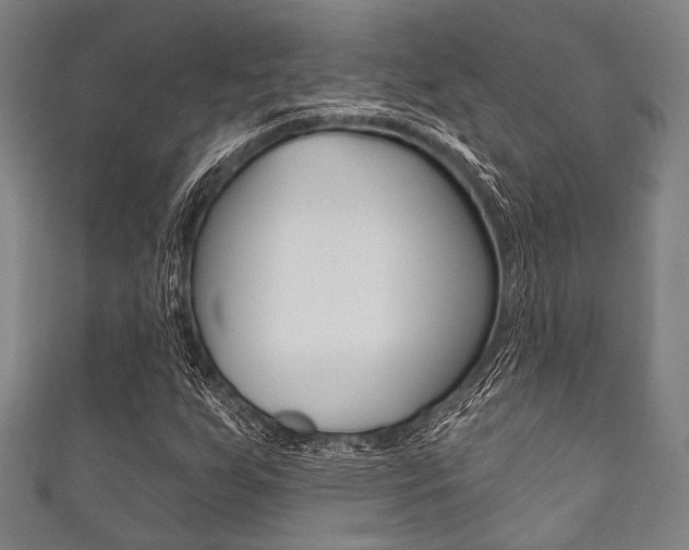 X0000111831255200907231015