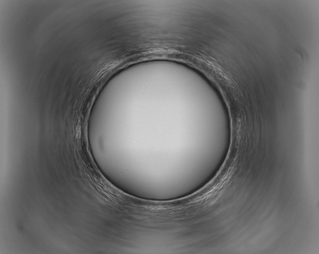 X0000111831257200907231015
