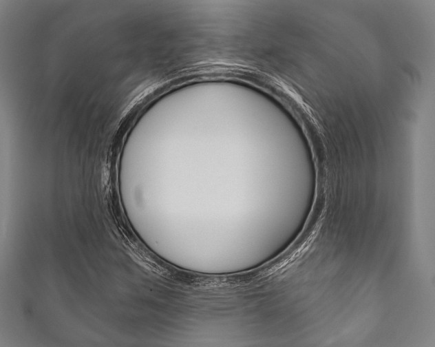 X0000111831259200907231015