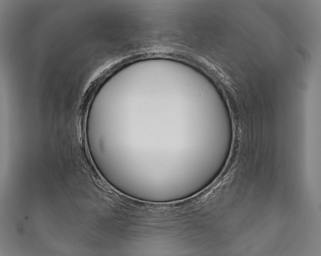 X0000111831262200907231015
