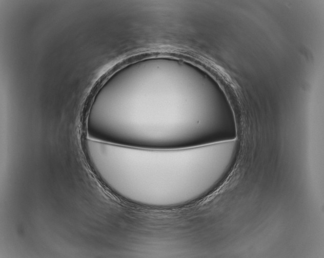 X0000111831264200907231015