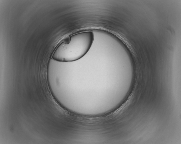 X0000111831273200907231015
