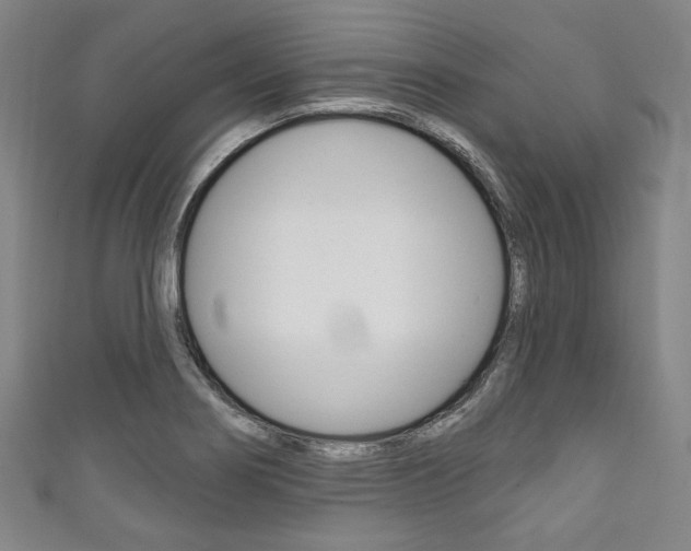 X0000111831274200907231015