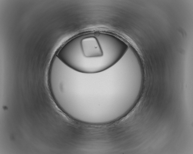 X0000111831277200907231015