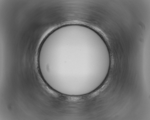 X0000111831278200907231015