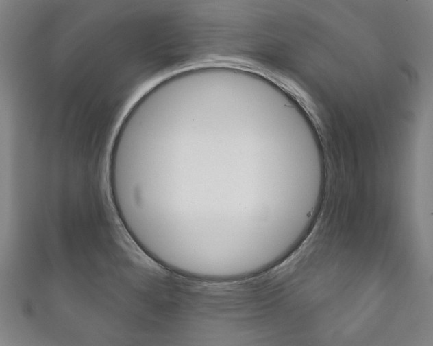 X0000111831280200907231015
