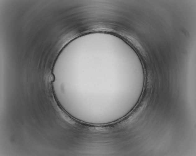X0000111831281200907231015