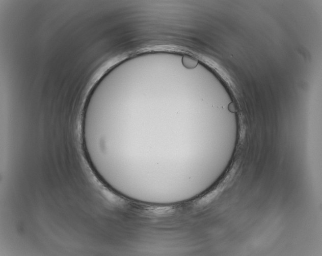 X0000111831282200907231015