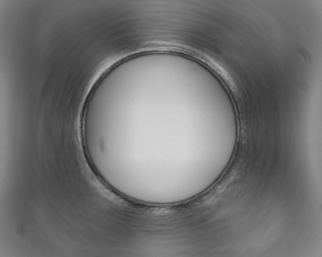 X0000111831283200907231015