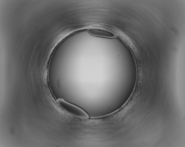 X0000111831284200907231015