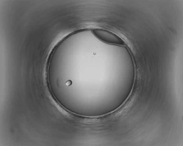 X0000111831285200907231015