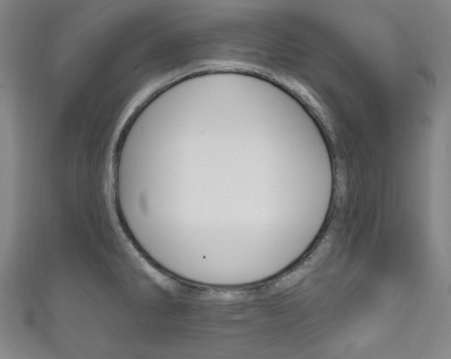 X0000111831286200907231015