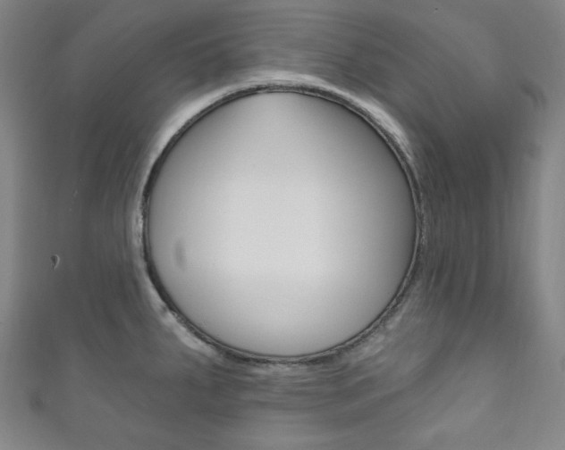 X0000111831287200907231015