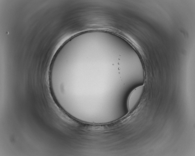 X0000111831291200907231015