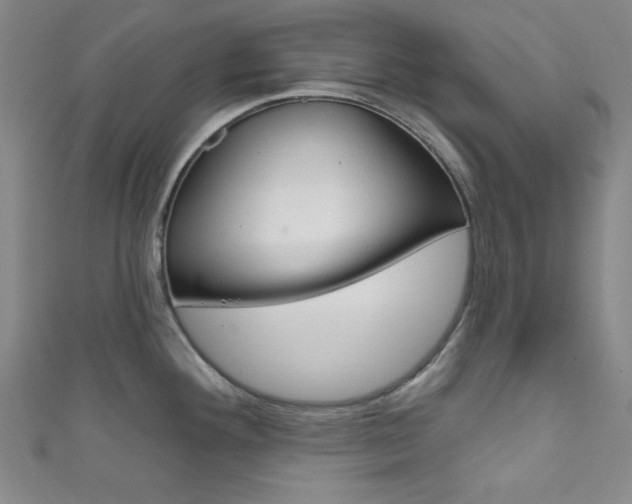 X0000111831292200907231015