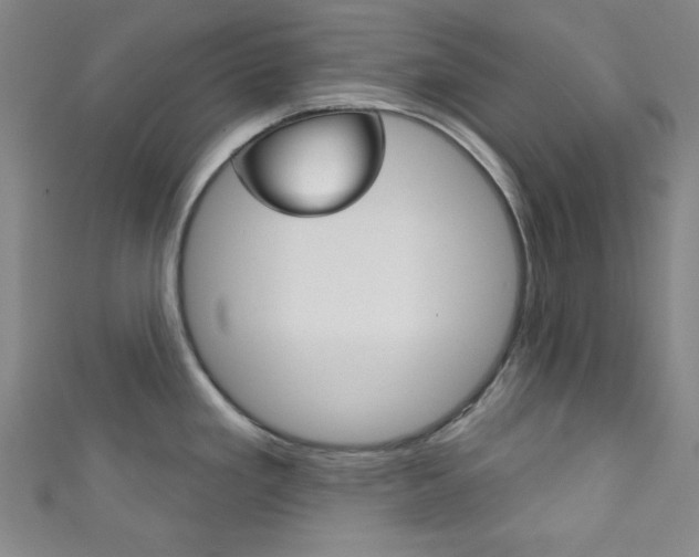 X0000111831293200907231014