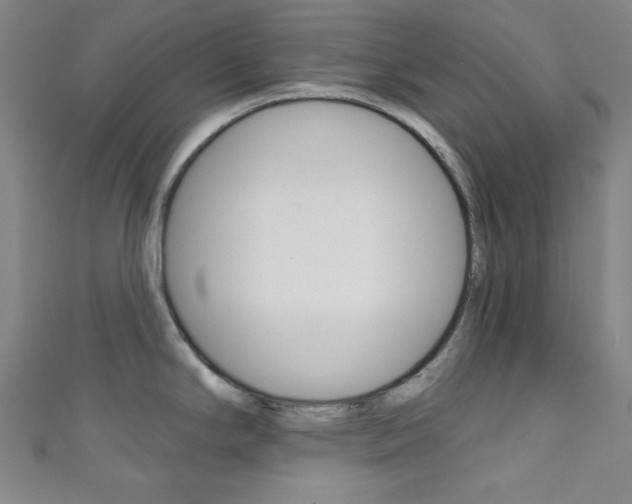X0000111831294200907231014