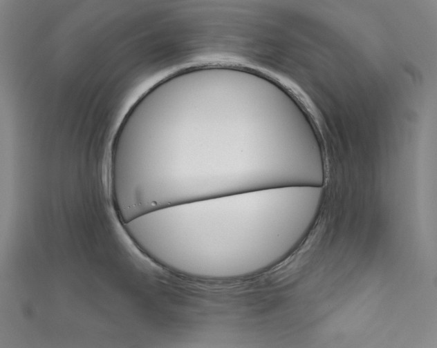 X0000111831295200907231014