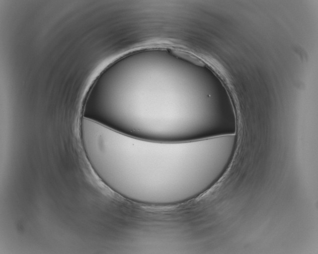 X0000111831296200907231014