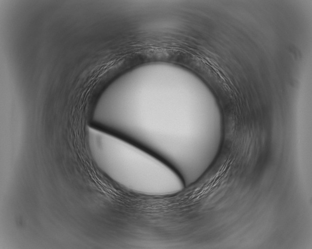 X0000111831297200907231014