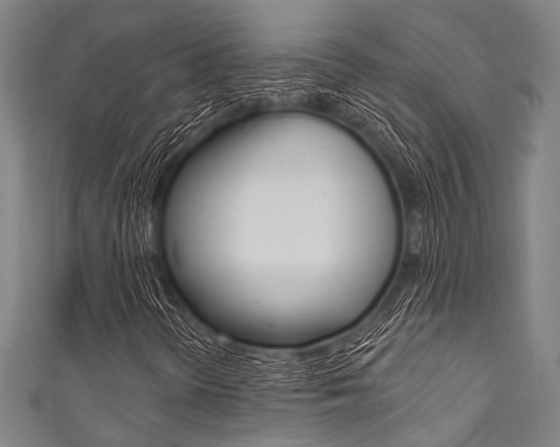 X0000111831298200907231014