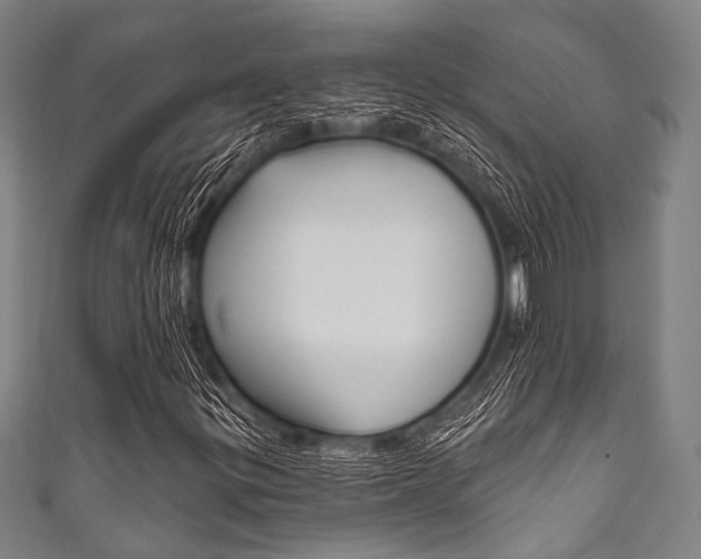 X0000111831299200907231014