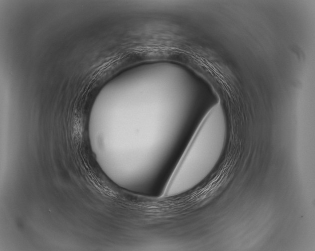 X0000111831300200907231014