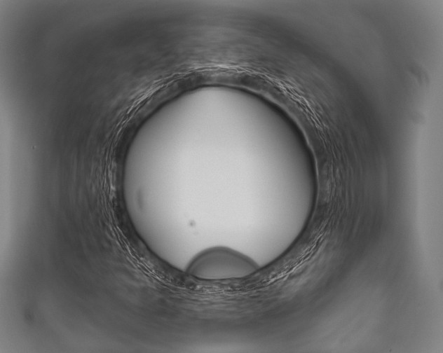 X0000111831301200907231014