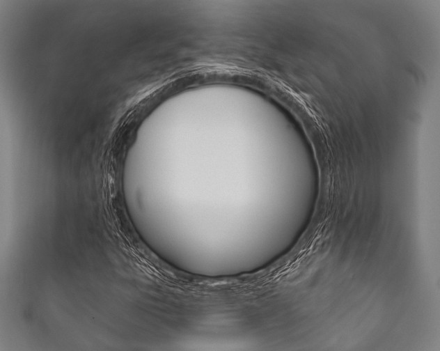 X0000111831303200907231014