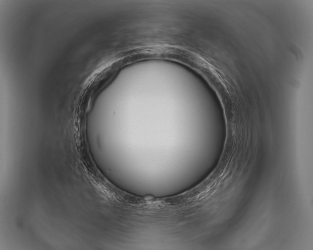 X0000111831304200907231014
