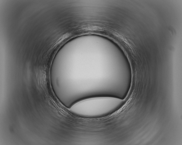 X0000111831305200907231014