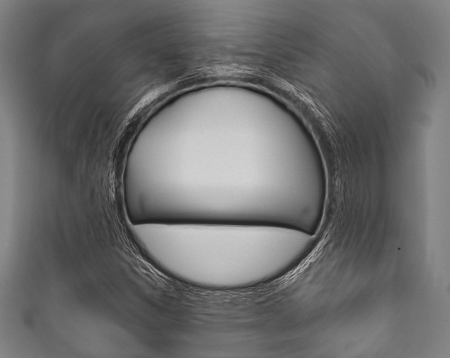 X0000111831306200907231014