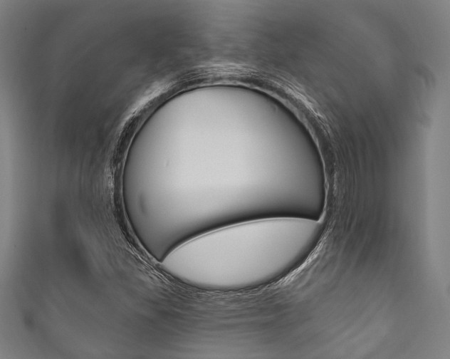 X0000111831309200907231014
