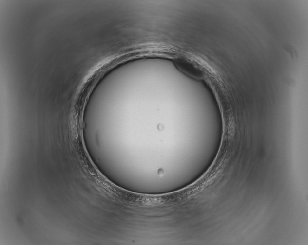 X0000111831310200907231014