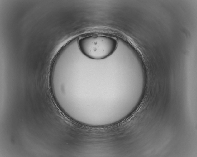 X0000111831312200907231014
